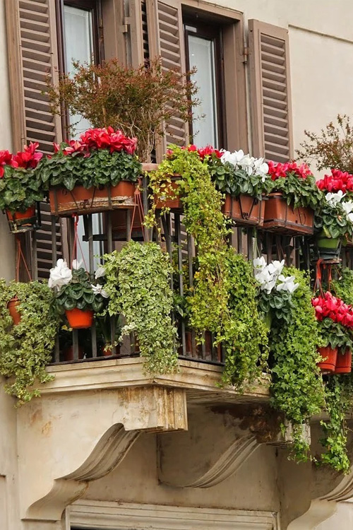 donice na balkonie
