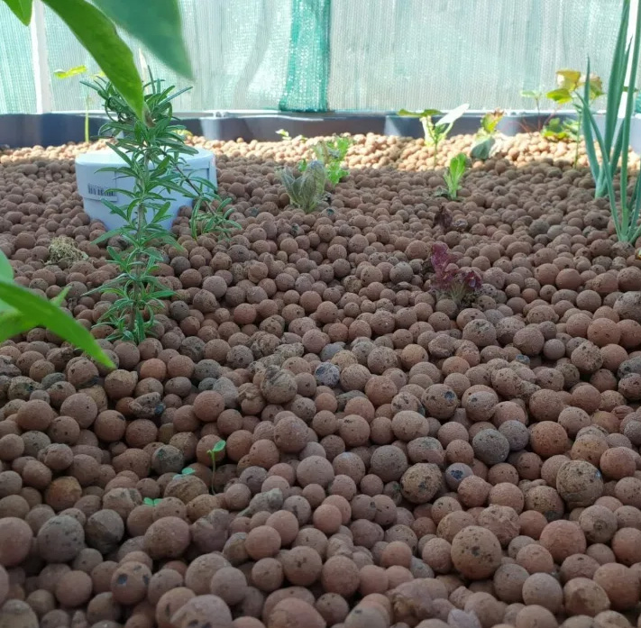 keramzyt wysypany wśród roślin